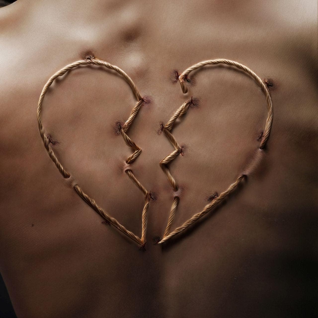 La cover di "Vertebre"