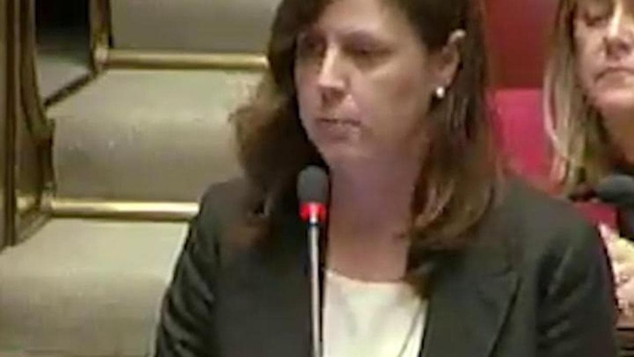 Attacco a Mattarella: la Camera in piedi per l'applauso al Presidente
