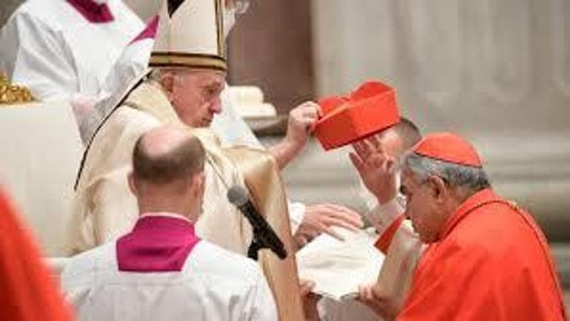 Cardinale Semeraro: “Il Papa infaticabile, solo i medici possono tenerlo a riposo”