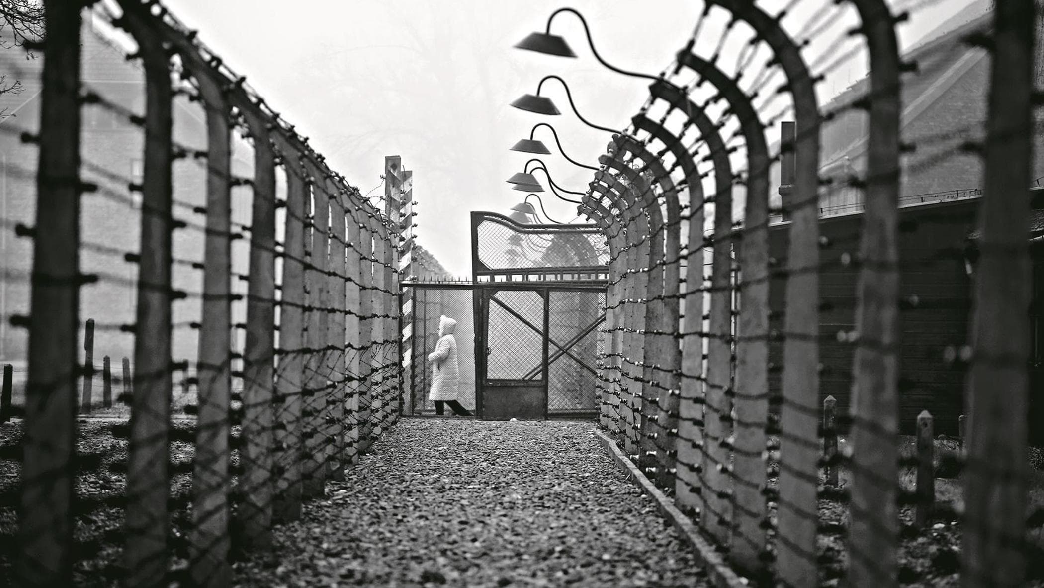 Turski, il custode di Auschwitz che raccontava la Shoah ai ragazzi - la ...