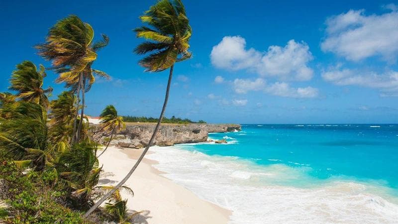 Caraibi, il fascino di Barbados tra spiagge, musica, rum e storia