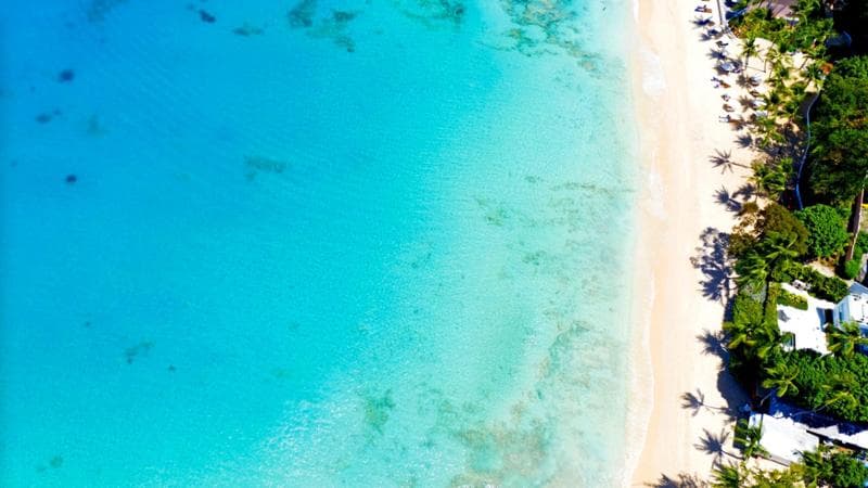 Il mare di Barbados