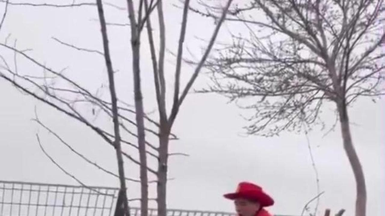 Shakedown Ferrari, gesto irresponsabile di un tifoso: taglia i rami di un albero per vedere i piloti