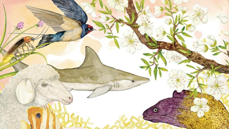 Donatella Di Pietrantonio. Il racconto. Bisogna scrivere per i bambini con il sorriso
