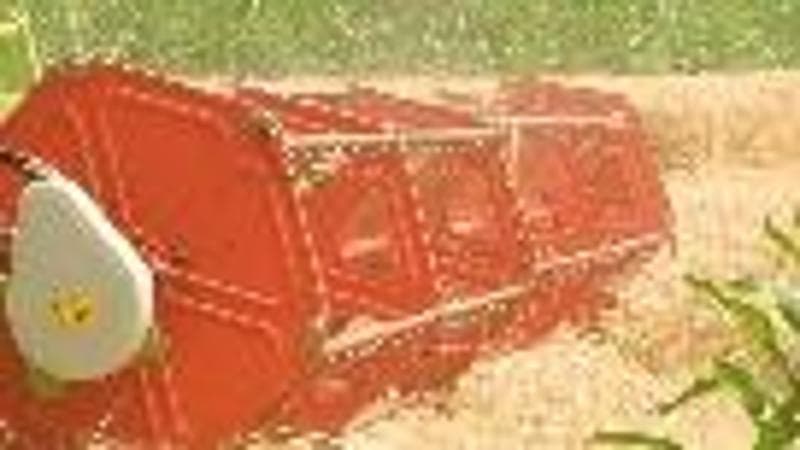 Così la Cina è diventata il granaio del mondo