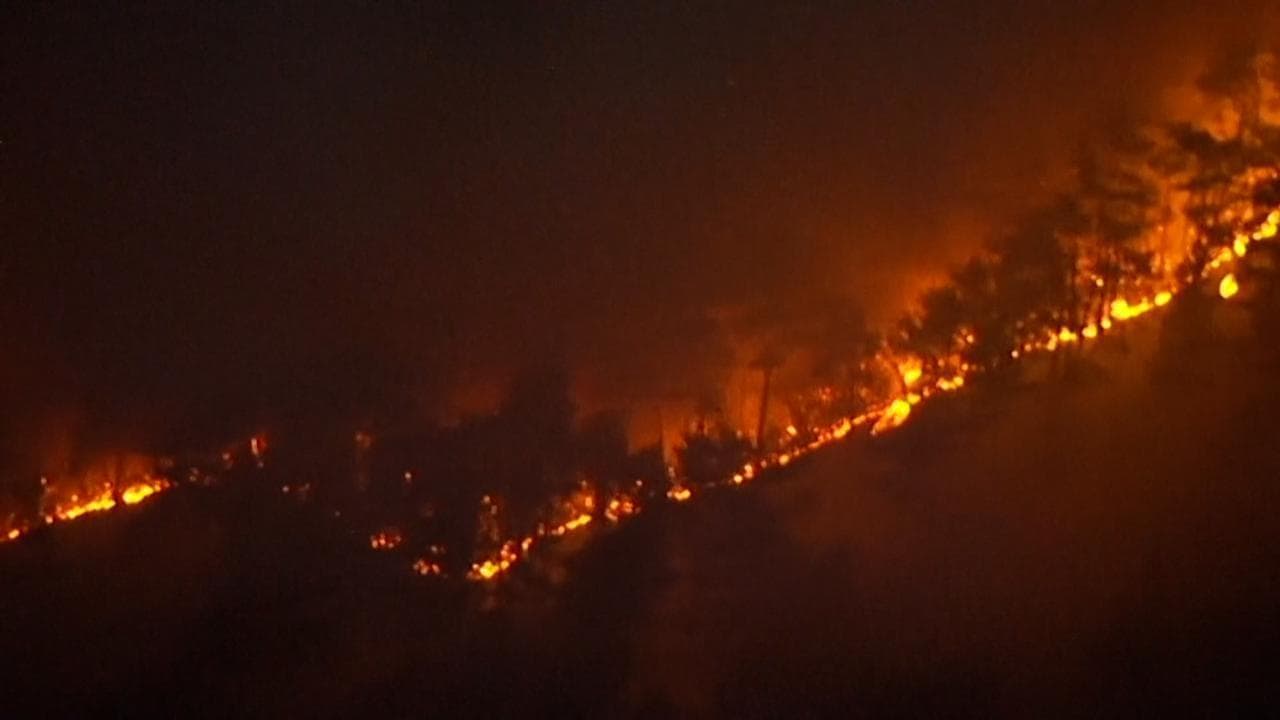 Giappone, incendio boschivo a Ofunato: evacuate centinaia di residenti