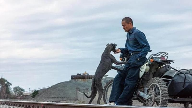 “Black Dog”, che struggente alleanza tra vagabondi e disperati. La recensione di Alberto Crespi