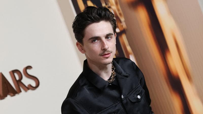 Timothee Chalamet