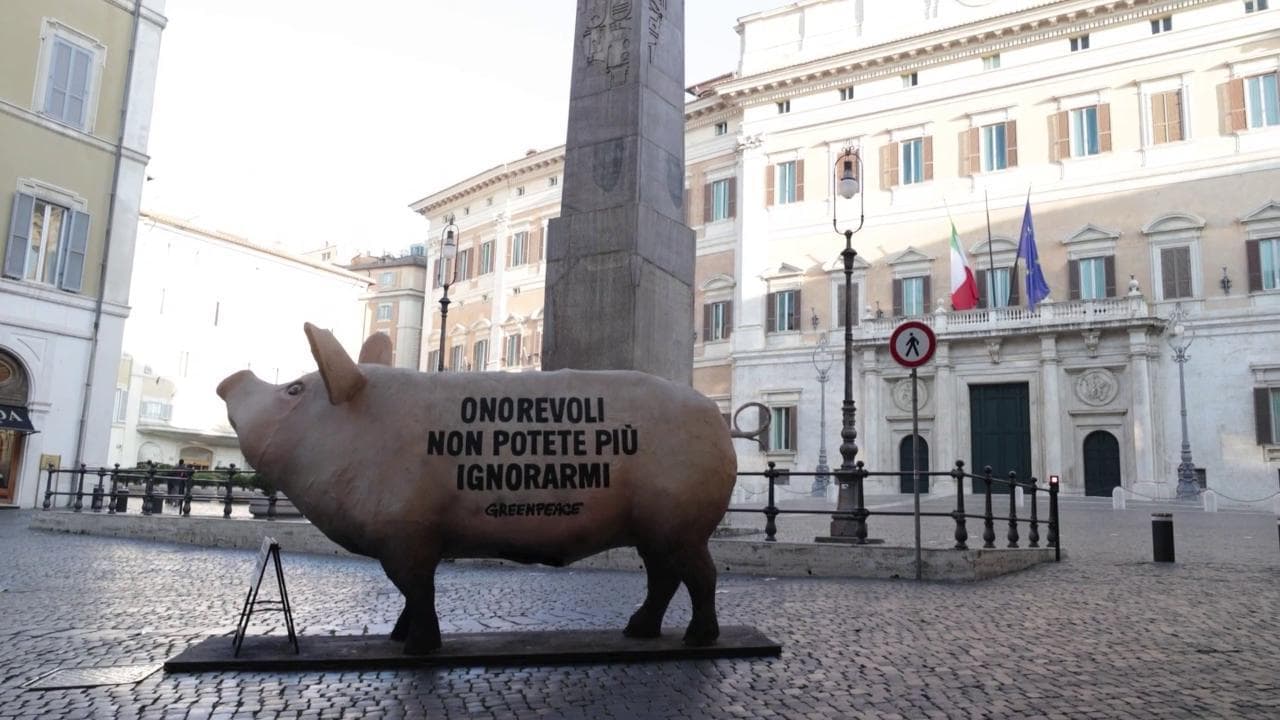 Roma, maiale gigante davanti al Parlamento: la protesta di Greenpeace