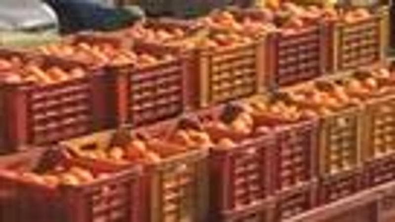 Piccolo è bello, la riscossa della minifrutta