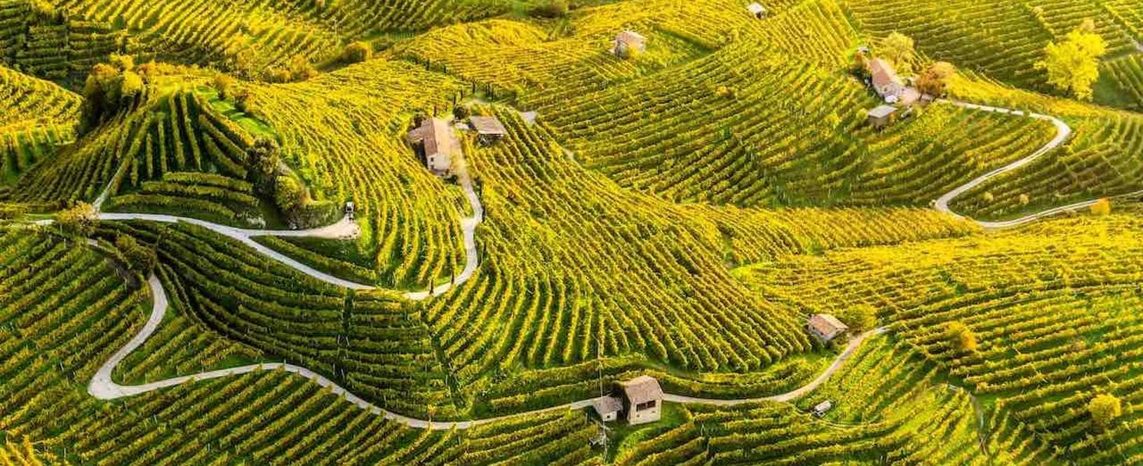Prosecco star negli Usa: “I dazi non fermeranno le nostre bollicine pop”