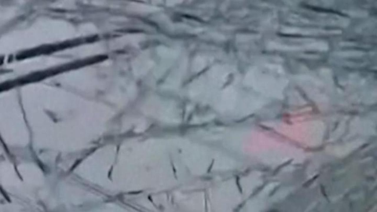 New York, tavola di legno colpisce il parabrezza di un'auto: l'impatto ripreso dalla dashcam