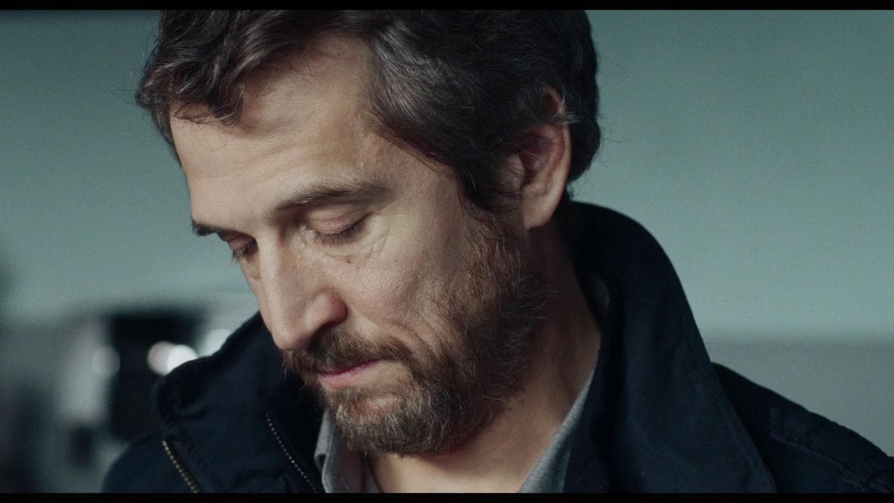 il caso di belle steiner