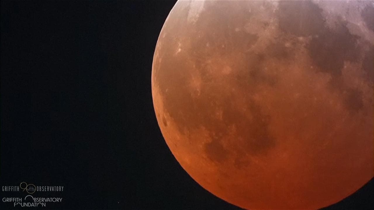 La Luna si tinge di rosso durante l'eclissi totale, l'affascinante spettacolo nei cieli americani