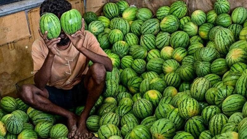 Ishara S. KODIKARA / AFP