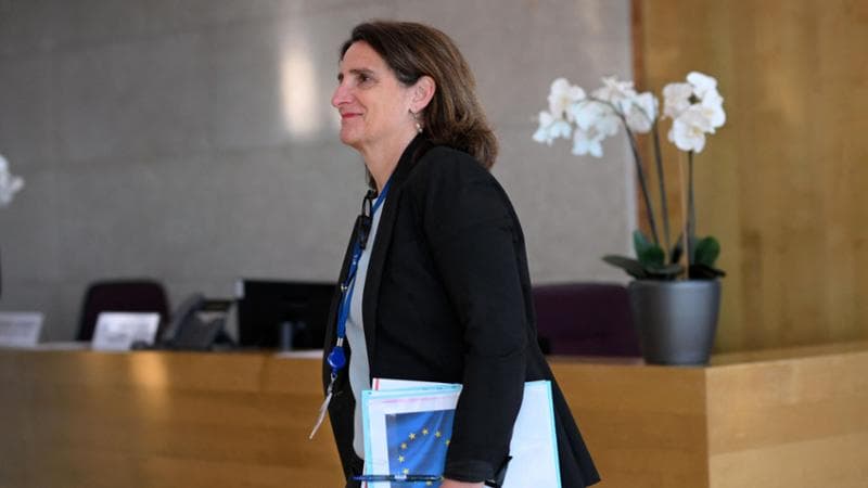 La vicepresidente della Commissione Teresa Ribera, che gestisce il portafoglio della concorrenza