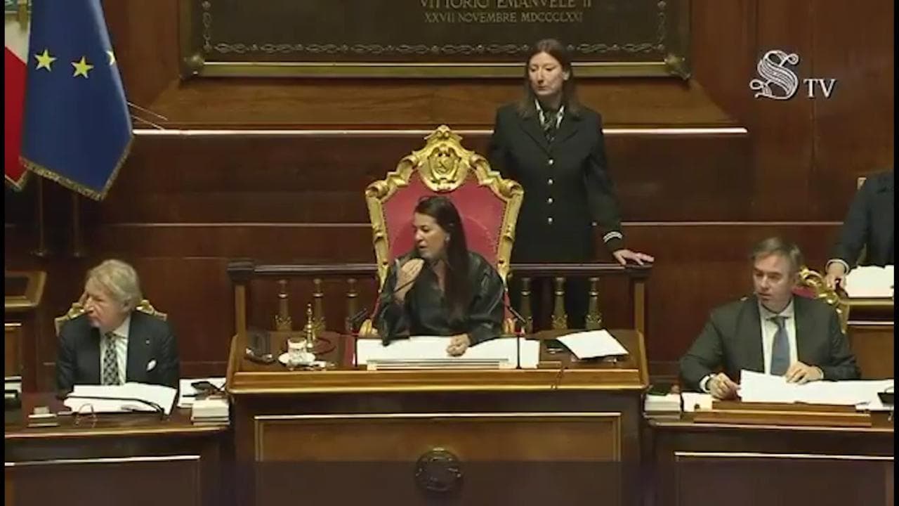 Ronzulli: "Non me ne frega un ca... di quello che pensa Renzi"