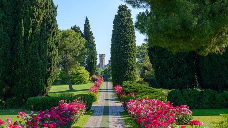 Tra le fioriture del Parco Giardino Sigurtà