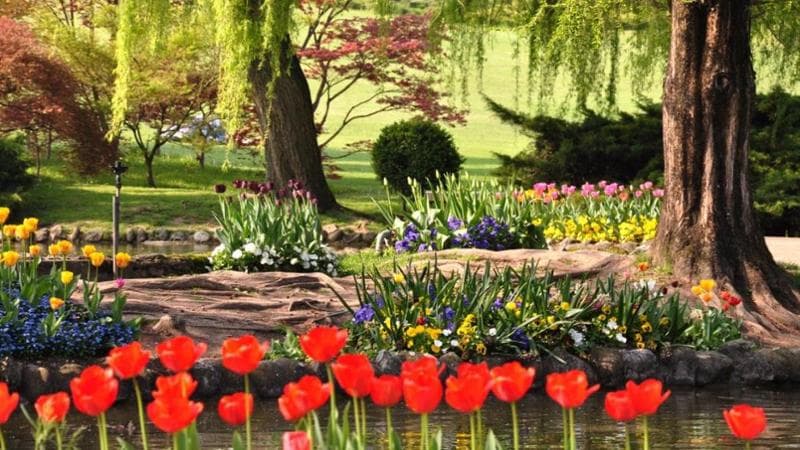 Lungo i sentieri del Parco Giardino Sigurtà