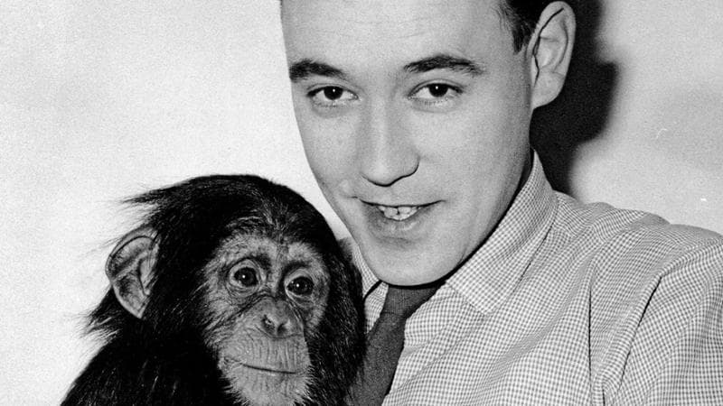 Desmond Morris allo zoo di Londra con lo scimpanz&eacute; Congo nel 1956&nbsp;
