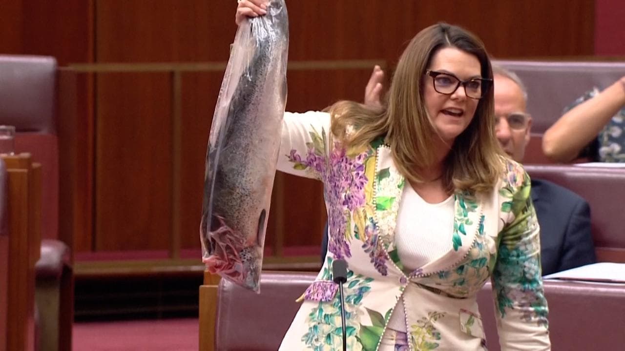 Australia, senatrice mostra un salmone morto in Parlamento: la protesta contro gli allevamenti intensivi