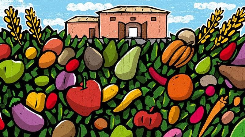 (Illustrazione di Alberto Ruggieri)