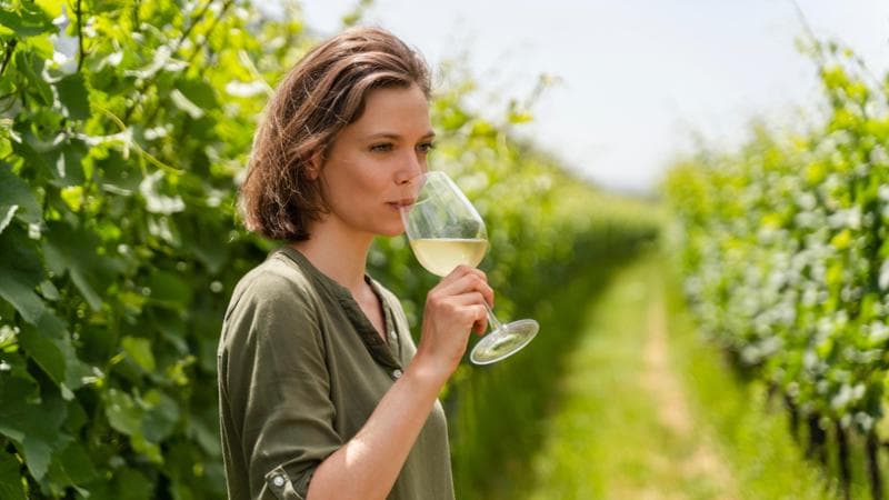 A calare soprattutto i consumi dei vini rossi. I bianchi, in particolare spumante e prosecco, vanno molto meglio
