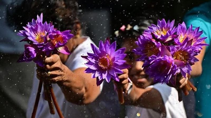 Petali