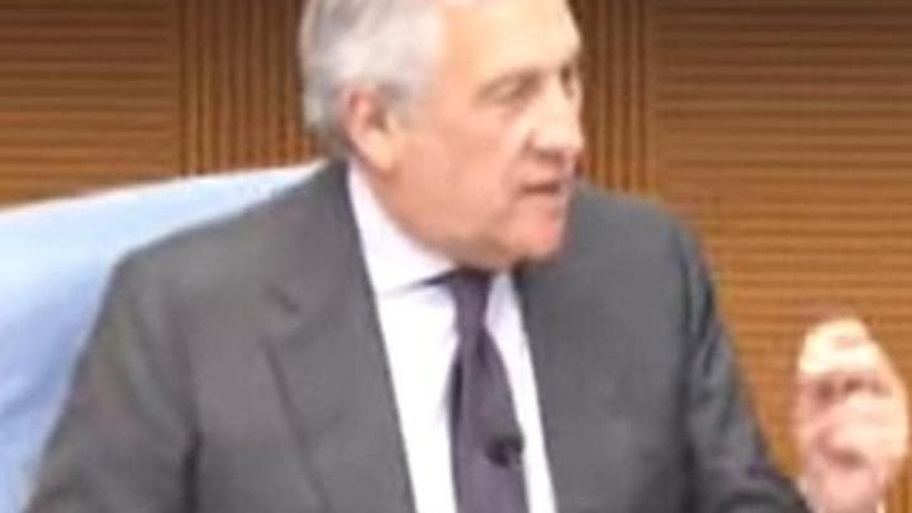 Battibecco Tajani-Boldrini in Commissione, il ministro interrotto si infuria: "E basta che cosa?"
