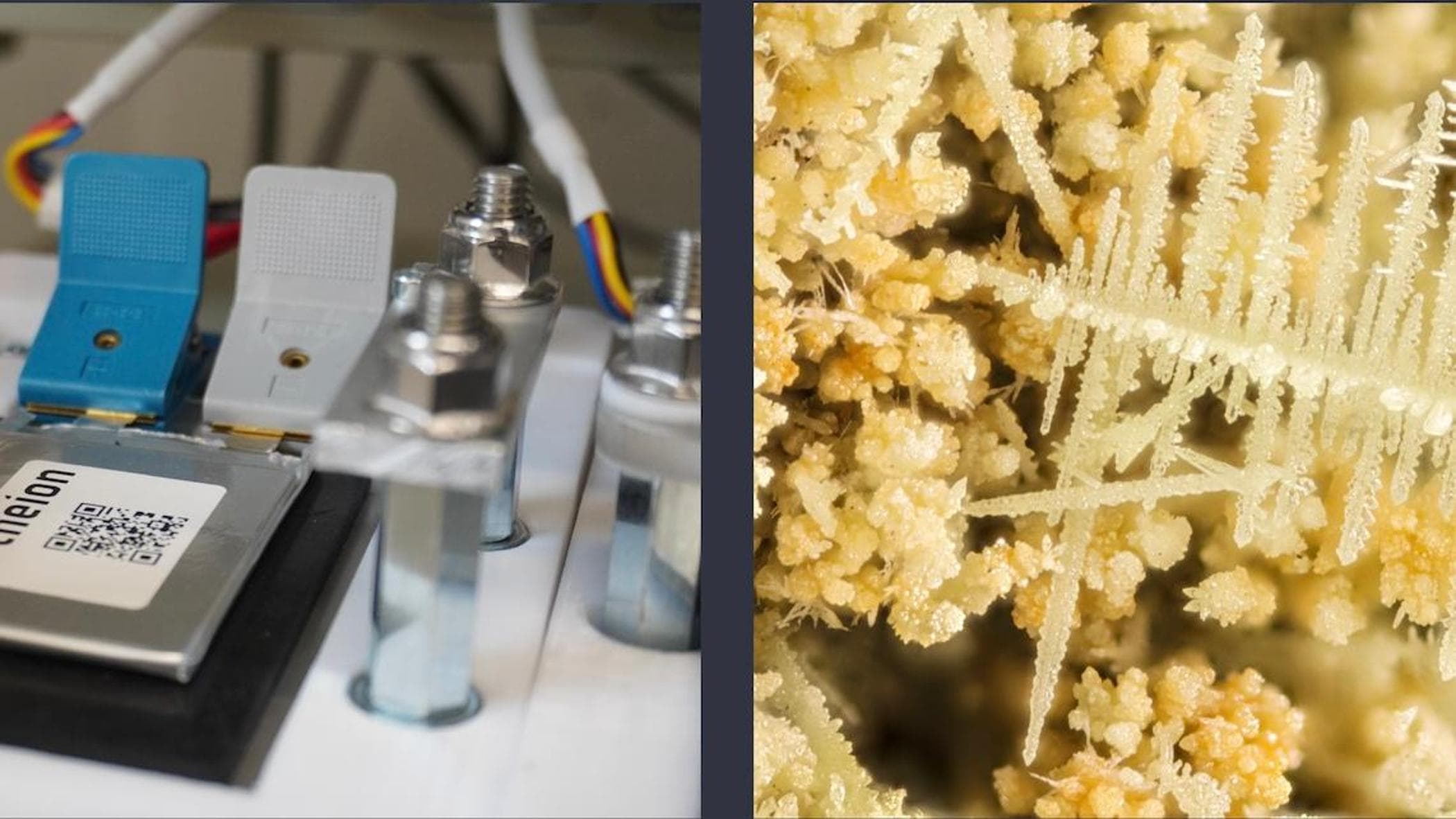 硫黄リチウム電池の革命：それらは3倍続き、コストが低くなります。それが理由です