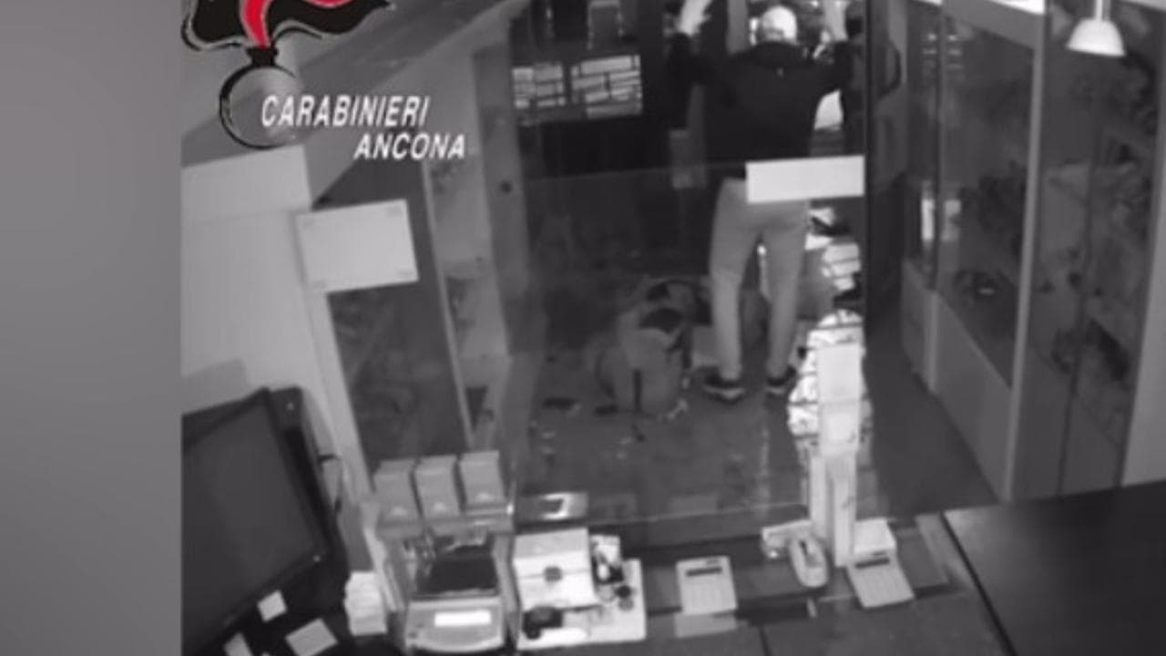 Ancona rapinano gioielleria: le telecamere registrano in diretta l'arrivo dei carabinieri. Arrestati
