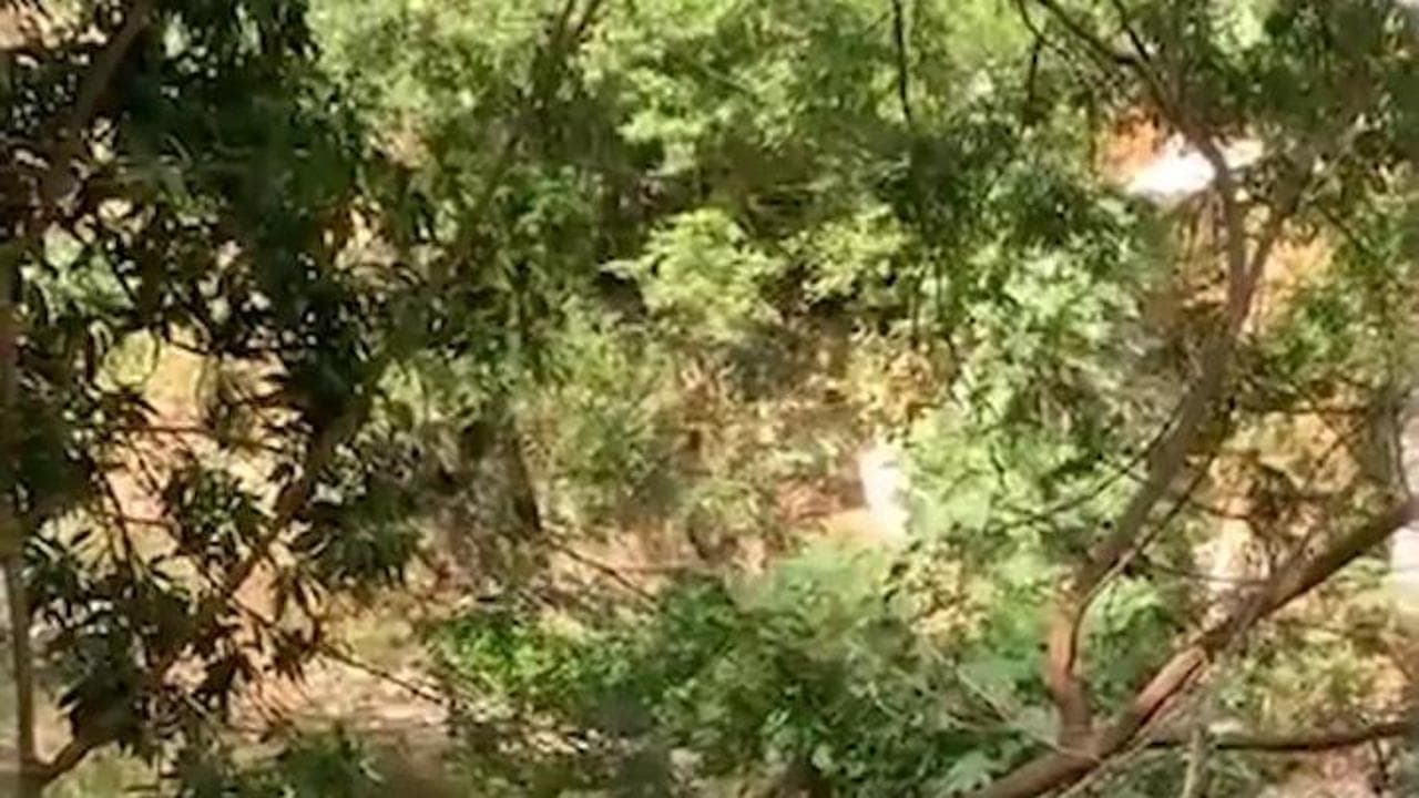 Colombia, il luogo in cui sono stati ritrovati i resti di Alessandro Coatti