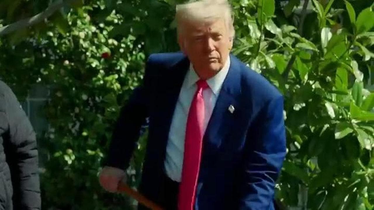Donald Trump pianta una "MAGAnolia" alla Casa Bianca dopo la rimozione della magnolia