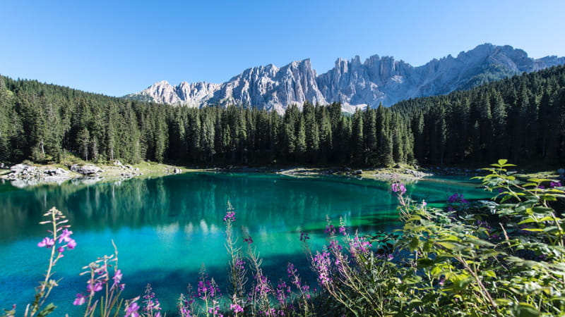 Lago di Carezza con Latemar © Helmut Rier