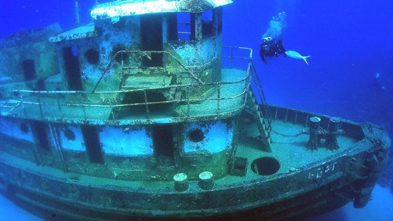 Una settimana immersi tra relitti e coralli. Wreck Week, alle British Virgin Islands l’eden dei sub