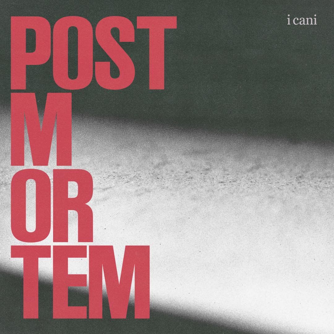 La copertina del disco
