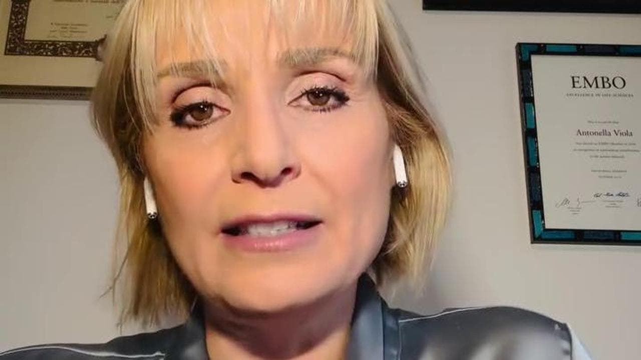 Veneto, Antonella Viola rinuncia alla candidatura: "Sono una scienziata, voglio restare libera"