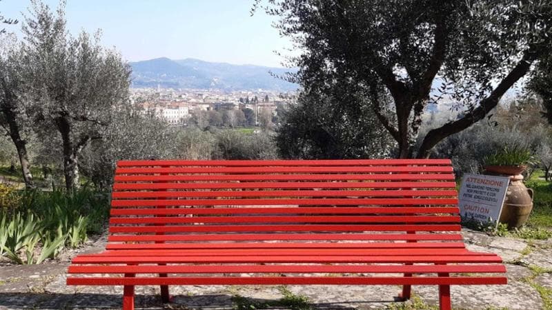Violenze sessuali, aumentate del 50% negli ultimi 5 anni. Ma nel 2025 il trend è in calo