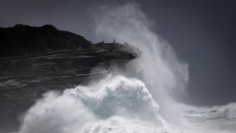 DAVID GRAY / AFP