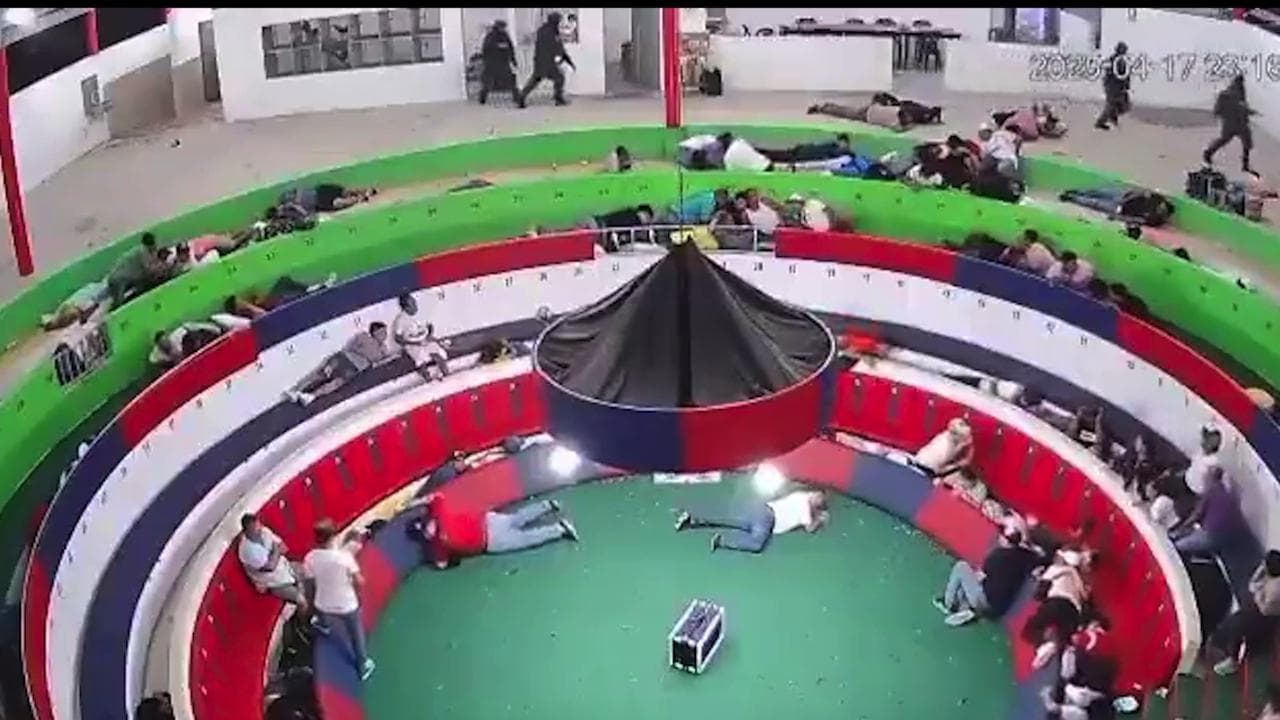 Ecuador, gang fa irruzione a combattimento tra galli e ruba 20mila dollari: il video