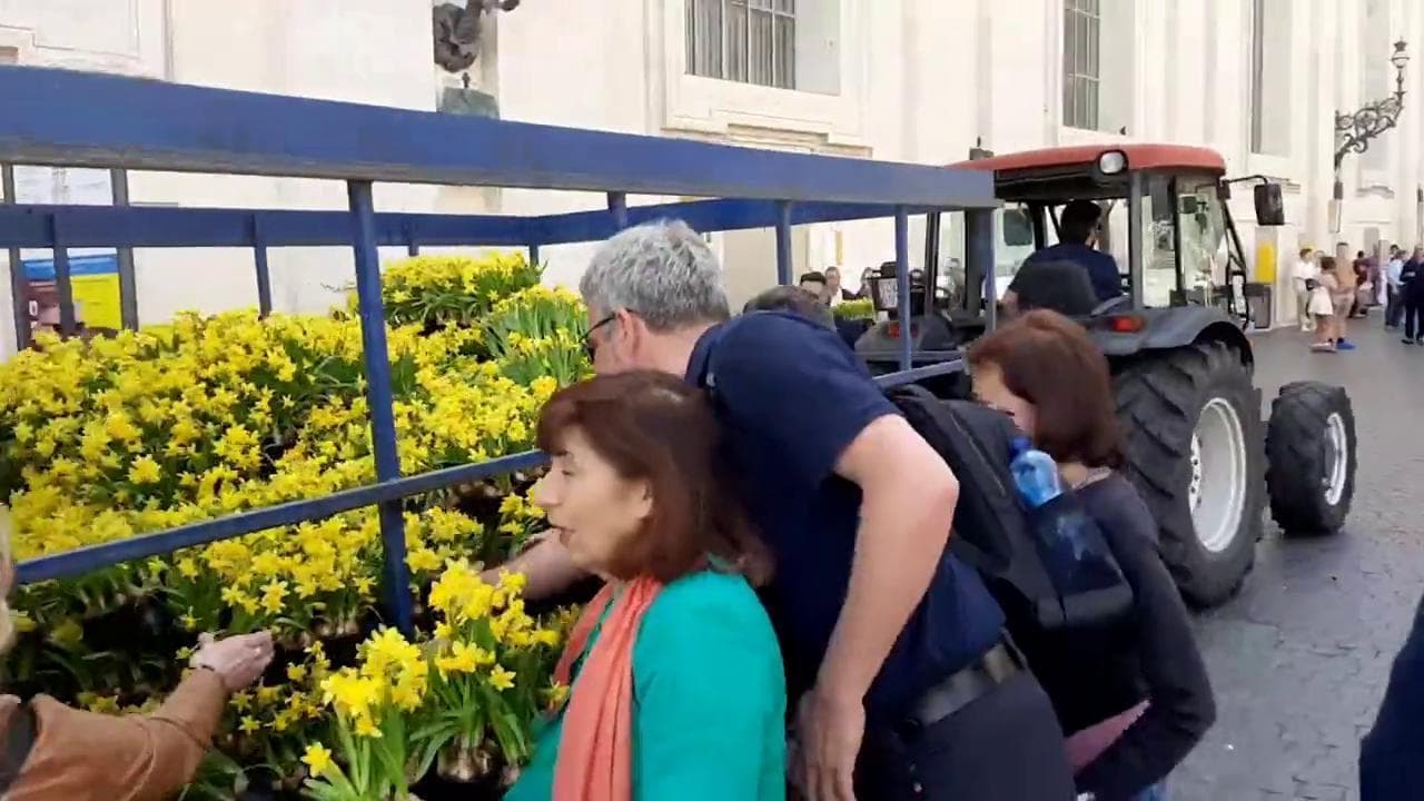 Morte Papa, l'assalto per rubare i fiori portati via da pizza S. Pietro dopo l'annuncio del decesso