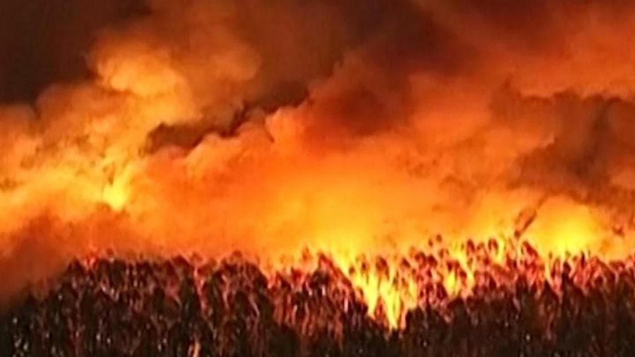 Usa, il New Jersey brucia: le immagini dell'imponente incendio che sta devastando la contea di Ocean