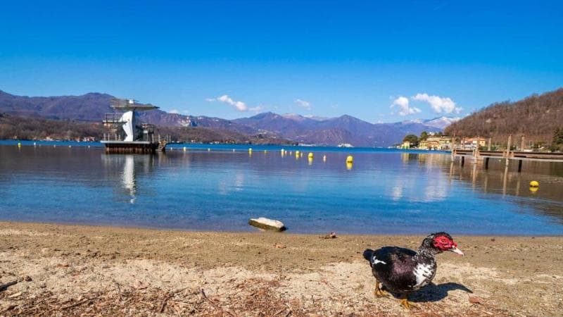 Il lido di Gozzano