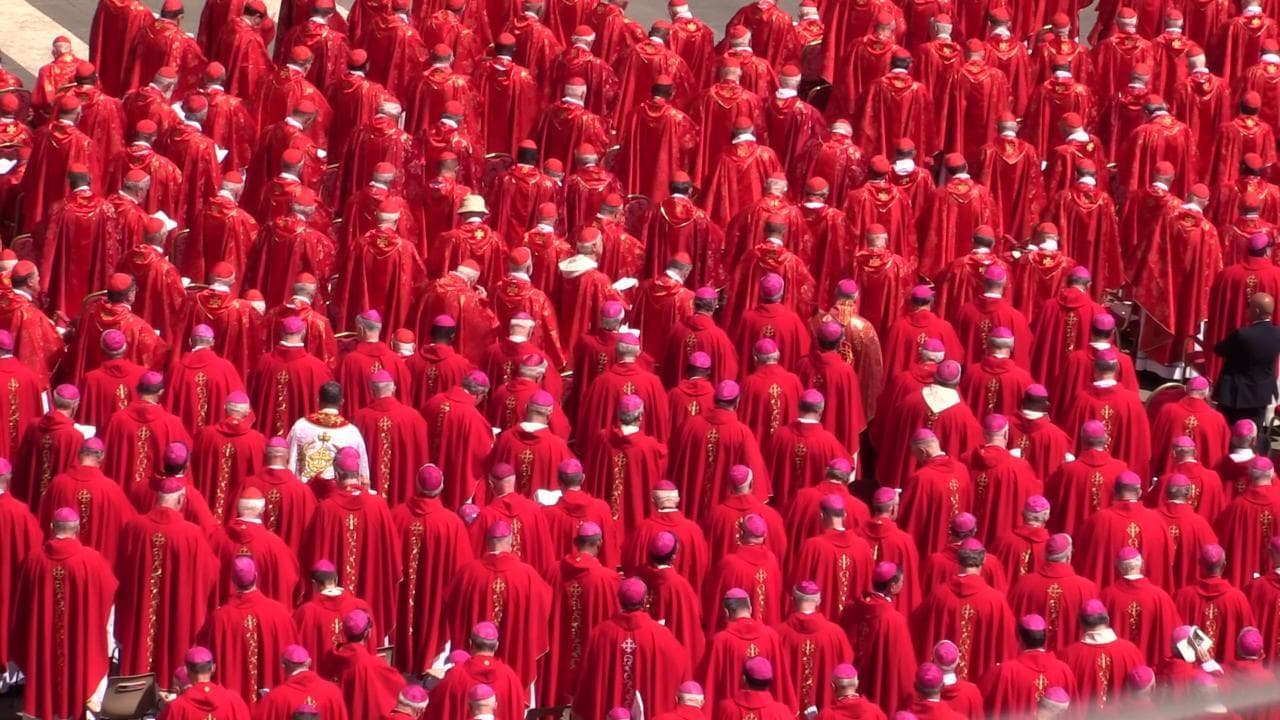 Funerali papa Francesco, il fiume di porpora dei cardinali alla cerimonia