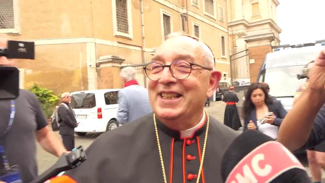 Morte papa Francesco, verso il Conclave. Il cardinale De Donatis: "Idee ancora da chiarire"