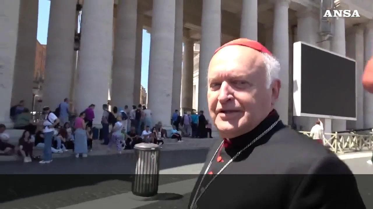 Conclave, il cardinale Nemet: "Se c'è unità? Sempre, nello Spirito"