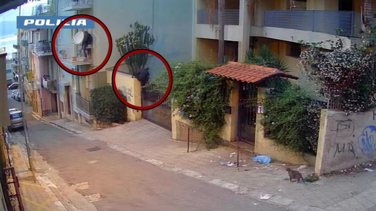 Reggio Calabria, sgominata banda dei ladri acrobati: 11 arresti