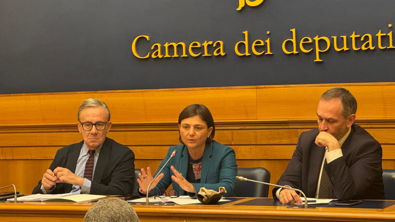 Pd propone una legge per fermare i ragazzi con i coltelli: “Norme stringenti ma anche rieducazione"