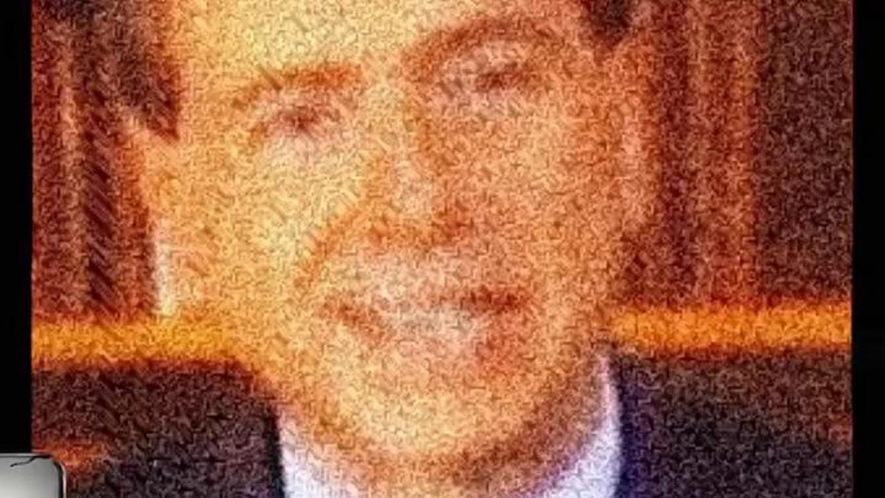 "L'Italia è il Paese che amo": il referendum pro cittadinanza cita Berlusconi, polemica per lo spot