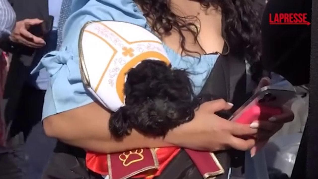 Conclave: la mascotte in Piazza San Pietro è Romeo, il cane vestito da Papa